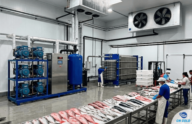 Refrigeração Para Peixarias aumentando o lucro dos mercados