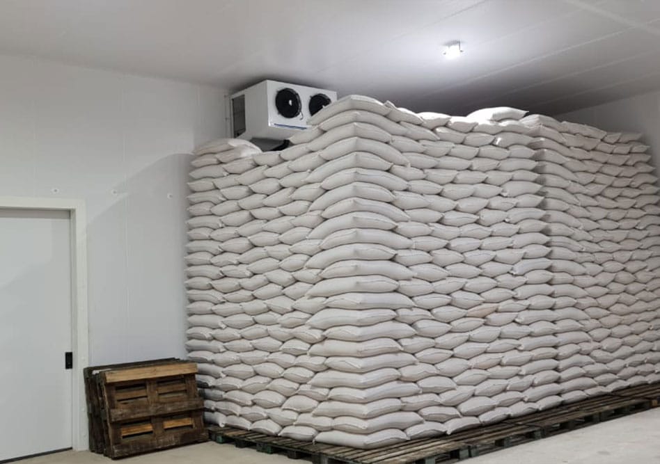 Dtq case equipamentos armazenamento feijao cncold