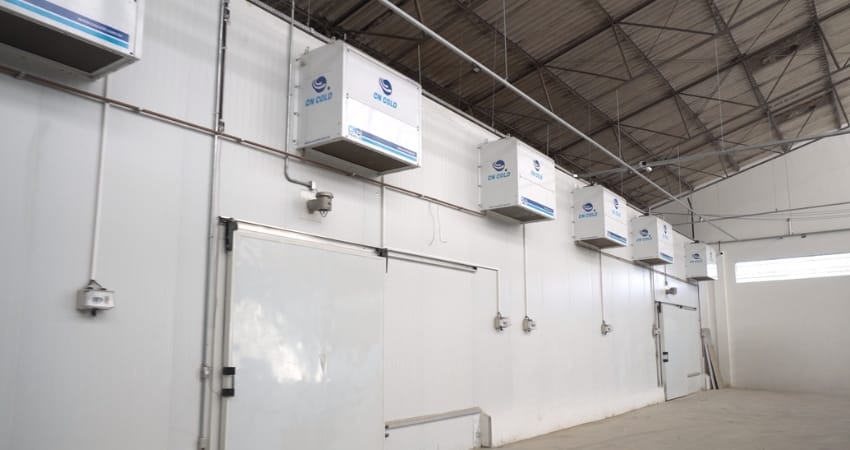 Assistencia tecnica cncold