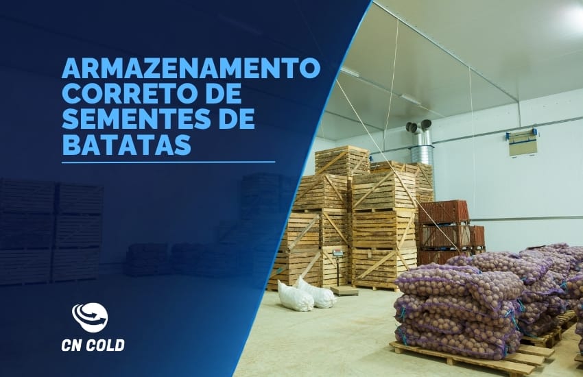 Armazenamento correto de Sementes de Batatas