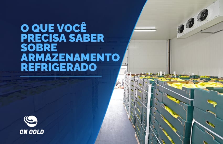 blog armazenamento refrigerado cncold