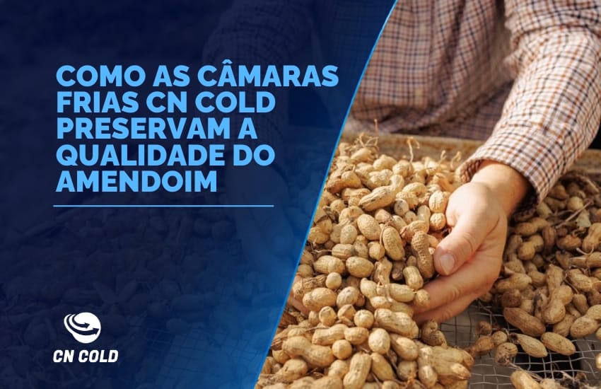 blog camaras fria preservam qualidade do amendoim cncold