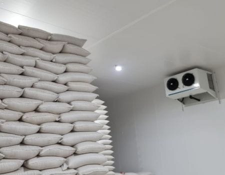Case camara fria armazenamento graos agro cncold Case camara fria armazenamento graos agro cncold