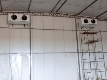 Case camara fria de climatizacao beneficiamento sementes feijao cncold Case camara fria de climatizacao beneficiamento sementes feijao cncold
