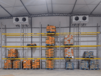 Case camara fria de climatizacao beneficiamento sementes feijao cncold Case camara fria de climatizacao beneficiamento sementes feijao cncold
