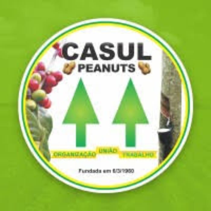 Clientes casul peanuts cncold
