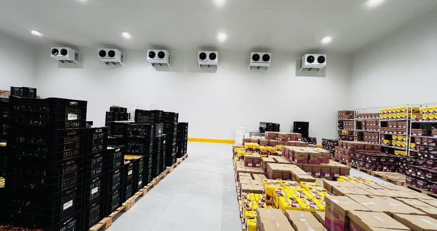 Segmentos industria alimenticia bebidas cncold